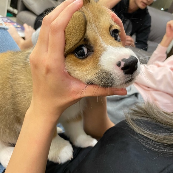 Meet your Posher, Aderson - Picture 1 of 1